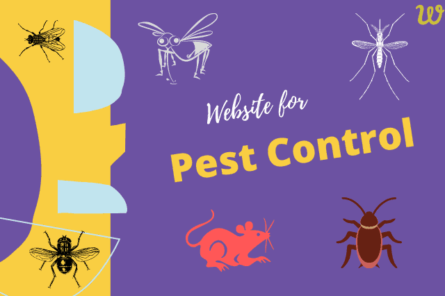 pest control service website